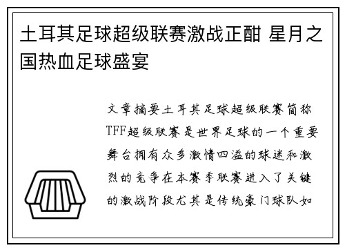 土耳其足球超级联赛激战正酣 星月之国热血足球盛宴
